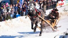 Polonya’da Kumoterki yarışı renkli görüntülere sahne oldu