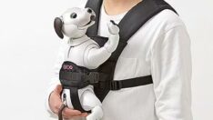 Robot köpek Aibo için kanguru üretildi