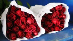 Sevgililer Günü’nde gülün fiyatı el yakacak