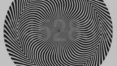 Sosyal medyayı ikiye böldü: Hangi rakamları görüyorsunuz?