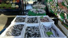 Tezgâhlarda çeşit azaldı fiyatlar fırladı