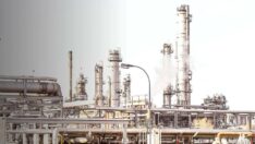 Türk şirketten Rusya kararı