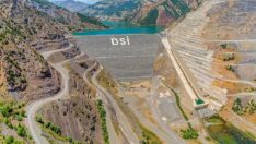 Türkiye elektrik faturalarını konuşurken dikkat çeken ihale: Milyarlık hata