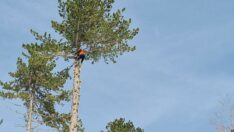 Türkiye’de bu işi sadece 12 kişi yapıyor