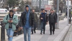 Vakaların en çok arttığı Amasya’da ‘rehavet’ uyarısı