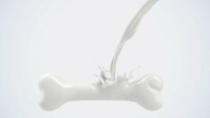 Vücutta kalsiyum dengesi neden önemli