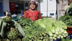 Acı Ot Festivali renkli görüntülere sahne oldu