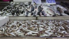 Akaryakıt zamları balıkçıları da vurdu