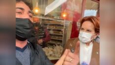 Akşener: Üreticilerimiz, eski Tarım Bakanı’nın yarattığı enkazın altında ezilmeye devam ediyor