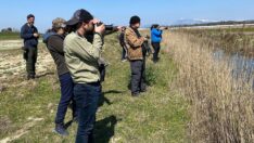 Antalya’da üç günde 120 tür kuş gözlemlendi