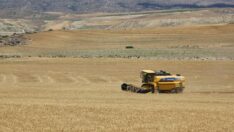 Çiftçiden motorindeki verginin kaldırılması talebi