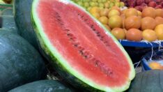 Dondurucu soğuk Adana karpuzunu vurdu: Üreticiye acil destek gerek