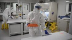 DSÖ: Ukrayna’ya yüksek riskli patojenleri imha etmesini önerdik