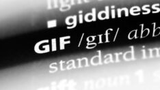 GIF’in mucidi Steve Wilhite hayatını kaybetti