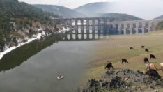 İstanbul’un barajları doldu… Keçiler gitti, sandallar geldi