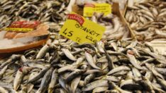 Kar yağışı balık fiyatlarını uçurdu