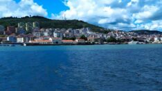 Kara bitti denizleri de satıyorlar