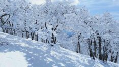 Kazdağları’ndan kartpostallık görüntüler