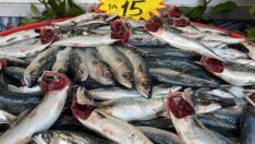 Kilosu 15 liradan kapış kapış satılıyor