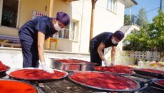 Kooperatifler umut oldu