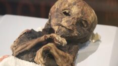 Mısır değil Türkiye! Görenler şaşırıyor