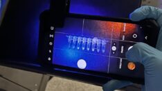 Omicron mu Delta mı? Yeni Covid testi dakikalar içinde varyantı belirleyebilir