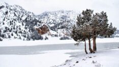 Püren Göleti buz tuttu