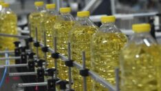Rusya ayçiçek yağı ihracatına kota getirdi