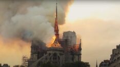 “Sanat filmleri iş yapmıyor, gişe filmlerine ihtiyacımız var”