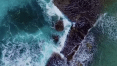 Sosyal medya bu görüntüyü konuşuyor: Köpekbalığını görebiliyor musunuz?