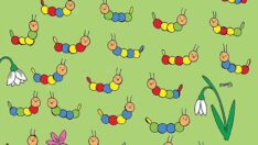 Sosyal medyanın tartıştığı ‘beyin yakan’ o resim: Eşi olmayan tırtılı 40 saniye içinde bulun