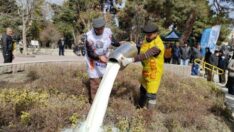 Süt üreticileri isyan etti: Tüm sütleri yere döktüler