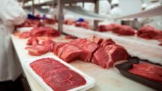 Tağşiş listesi mide bulandırdı