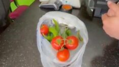 Tane ile alışveriş dönemi…