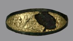 Tarla sürerken buldu, paha biçilemiyor!