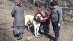 ‘Tatar’ isimli köpek köylüleri uyandırarak yangını haber verdi