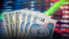 TL’de kârlı çıktı dövizde yerinde saydı