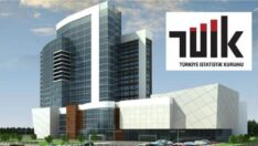 TÜİK’te iki isim daha görevden alındı