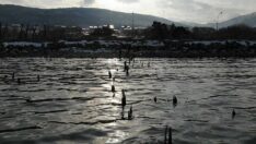 Van Gölü’nde sular çekildi! 60 yıllık iskele gün yüzüne çıktı