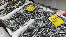 Yasağa üç hafta var! Kilosu 50 liradan satılıyor