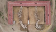 5 bin kuzu anneleriyle böyle buluştu