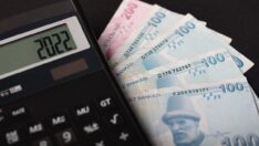 500 TL banknot ve 5 TL madeni para mı çıkacak?