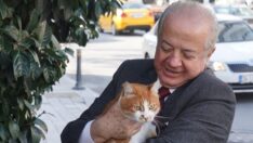 Affan Keçeci’den Spor Yasası yorumu: Bazı hatalar düzeltildi ama… Özerkliğe dikkat!