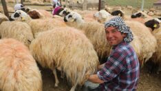 Afganistanlı Abdullah, başlık parası için Tunceli’de çobanlık yapıyor