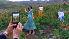 Ağlayan geline dokunamadılar