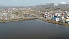 Ardahan Ovası sular altında kaldı