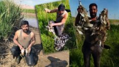 Ava giderken balıklara av olan yılanı balıkçı kurtardı