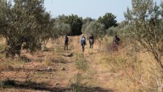 Bergama’da amfora üretim yeri keşfedildi