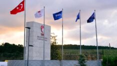 Beşiktaş ve Fenerbahçe PFDK’ya sevk edildi