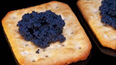 Bilim insanları yapay havyar üretti